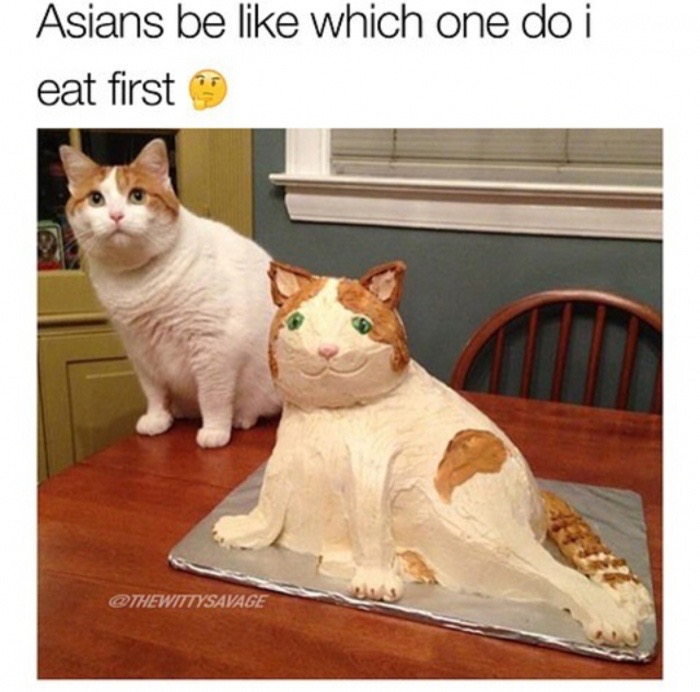 trending - cat cake meme template - Asians be which one do i eat first 9