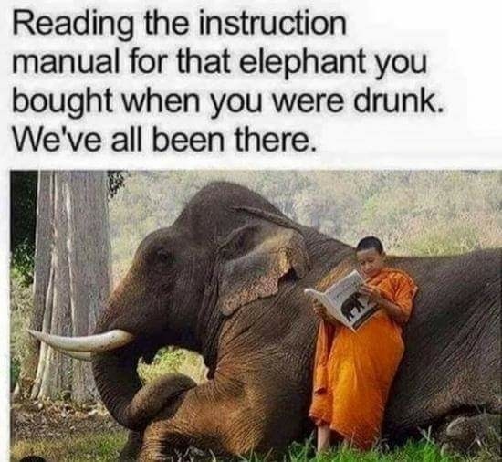 trending - instructions unclear meme - Reading the instruction manual for that elephant you bought when you were drunk. We've all been there.