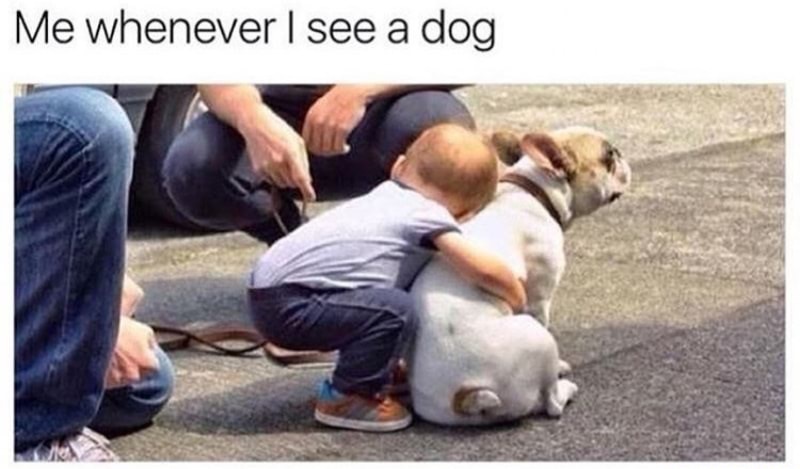 Sunday meme about loving dogs with pic of baby hugging a dog