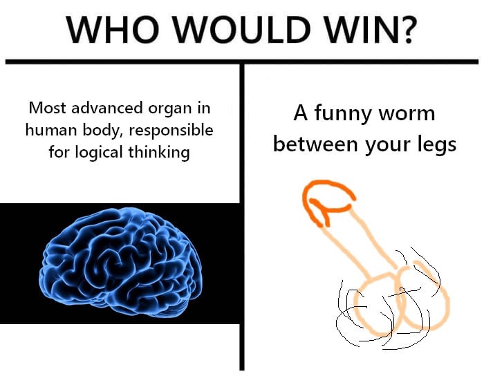 Sunday meme about the battle between the brain and the penis