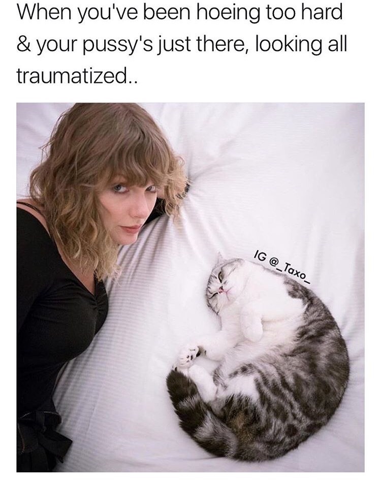 no nut november - taylor swift new cat - When you've been hoeing too hard & your pussy's just there, looking all traumatized.. Ig