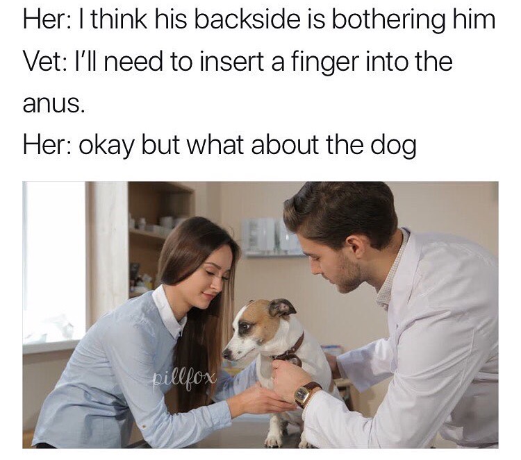no nut november - Her I think his backside is bothering him Vet I'll need to insert a finger into the anus. Her okay but what about the dog pillfox