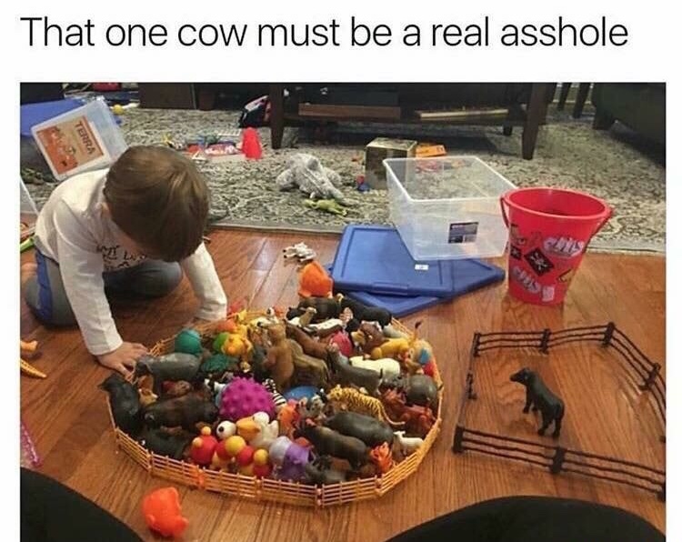 relatable summer memes - That one cow must be a real asshole Terra