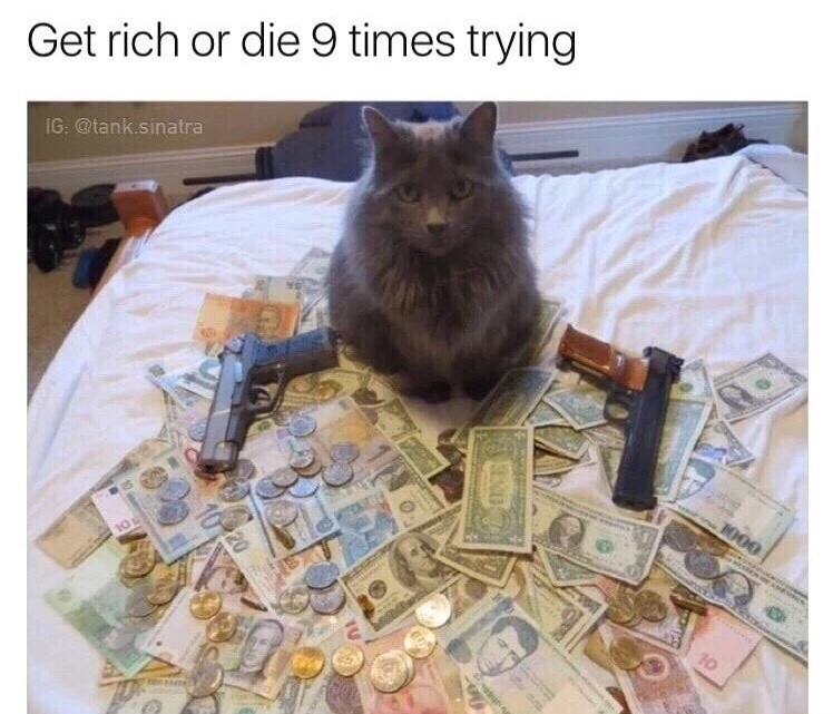 thug life cat - Get rich or die 9 times trying Ig .sinatra