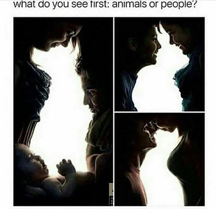 do you see with rp - what do you see first animals or people?