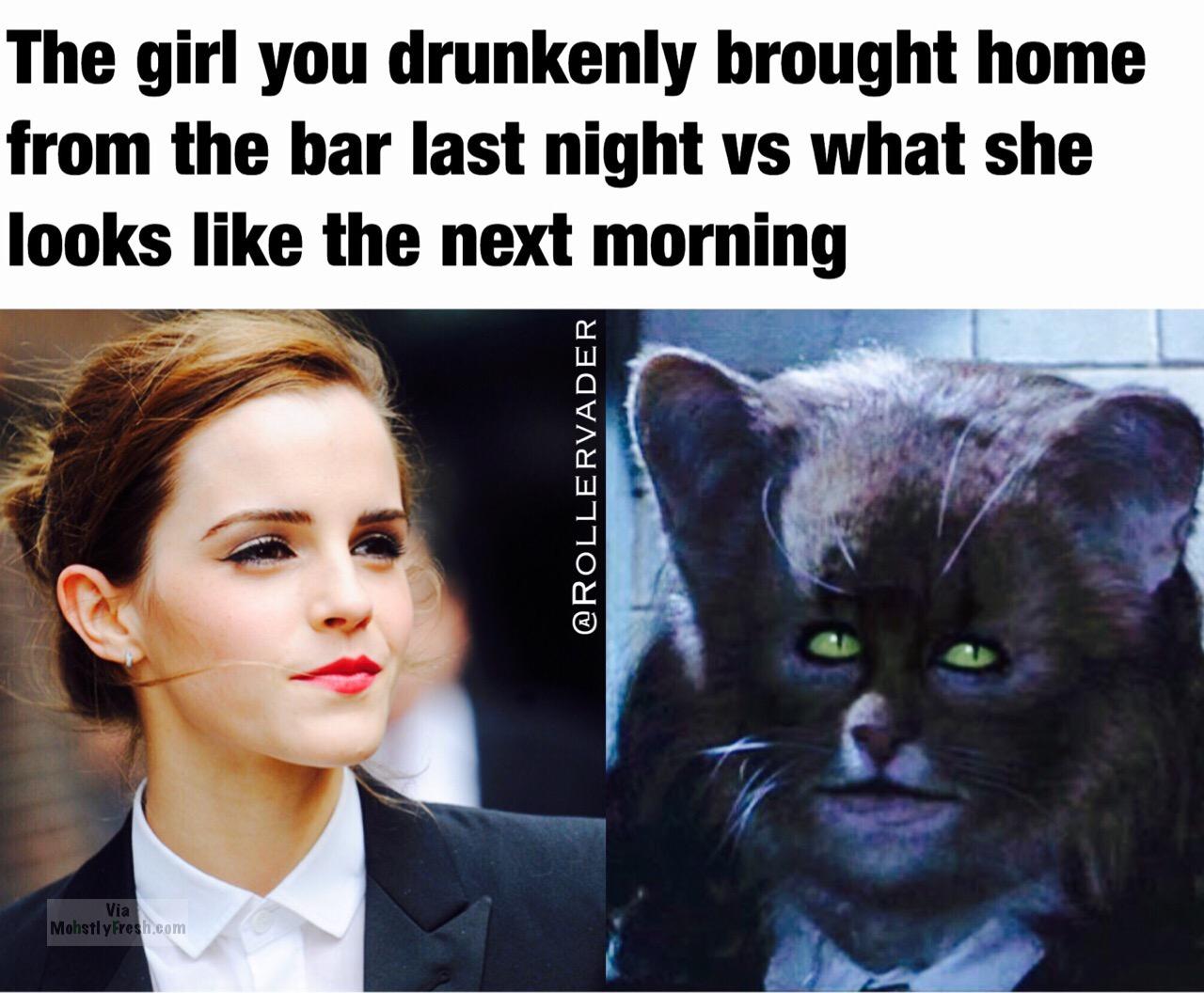 53 Sunday FunDay memes to keep you smiling thru the weekend