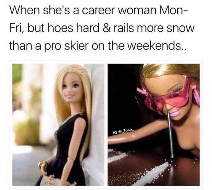 dirty inappropriate memes - When she's a career woman Mon Fri, but hoes hard & rails more snow than a pro skier on the weekends.. Ig