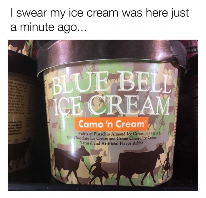 dairy product - I swear my ice cream was here just a minute ago... about what sey finest Blue Bel Ice Cream Camo'n Cream Swirls of Pistachio Almond Ice Cream, Jeremiah Mil Chocolate Ice Cream and Cream Cheese Ice Cream Natural and Artificial Flavor Added