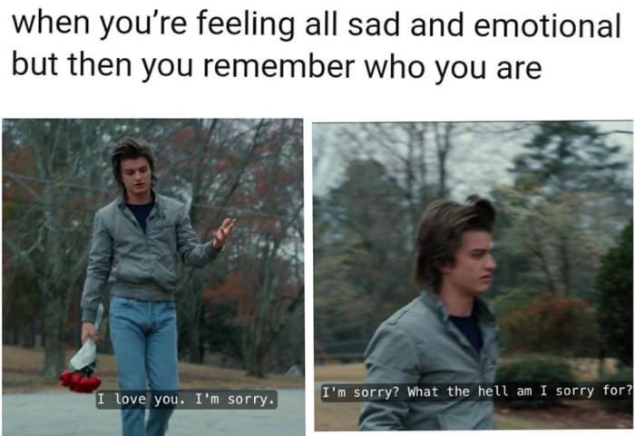 random funny memes - when you're feeling all sad and emotional but then you remember who you are I love you. I'm sorry. I'm sorry? What the hell am I sorry for?