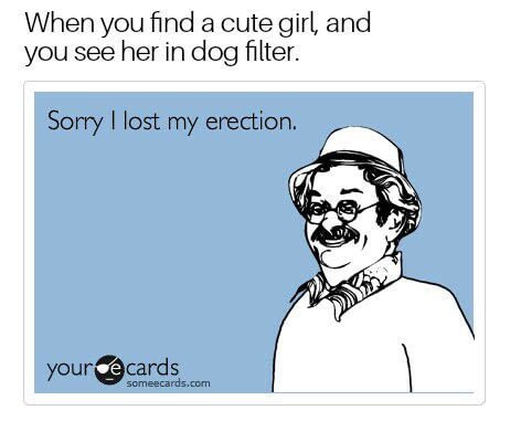 funny monday quotes - When you find a cute girl, and you see her in dog filter. Sorry I lost my erection. your ce cards someecards.com