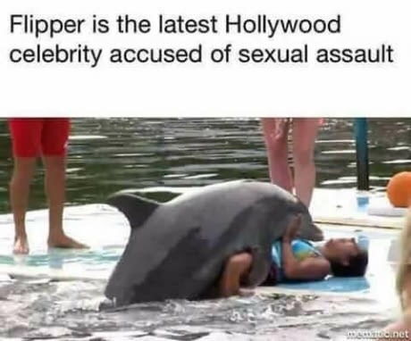 funny quotes and sayings - Flipper is the latest Hollywood celebrity accused of sexual assault Get