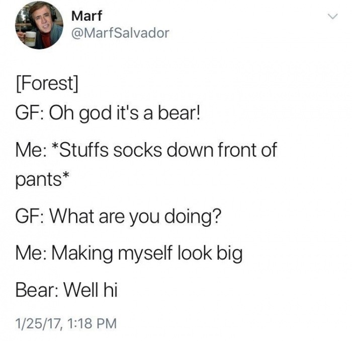 document - Marf Forest Gf Oh god it's a bear! Me Stuffs socks down front of pants Gf What are you doing? Me Making myself look big Bear Well hi 12517,