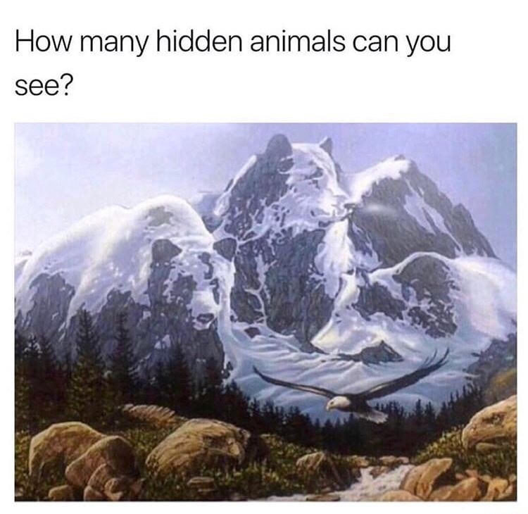 many can you see - How many hidden animals can you see?