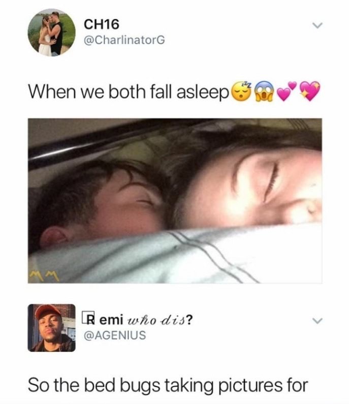funny social media posts - CH16 When we both fall asleep Remi who dis? So the bed bugs taking pictures for
