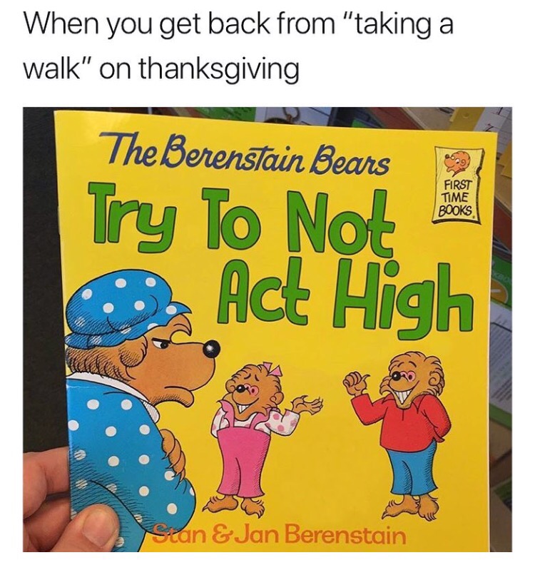 berenstain bears dank memes - When you get back from "taking a walk" on thanksgiving The Berenstain Bears Try To Not First Time Books Act High Scan & Jan Berenstain