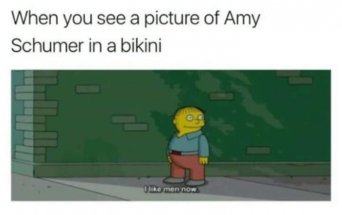 cartoon - When you see a picture of Amy Schumer in a bikini men now