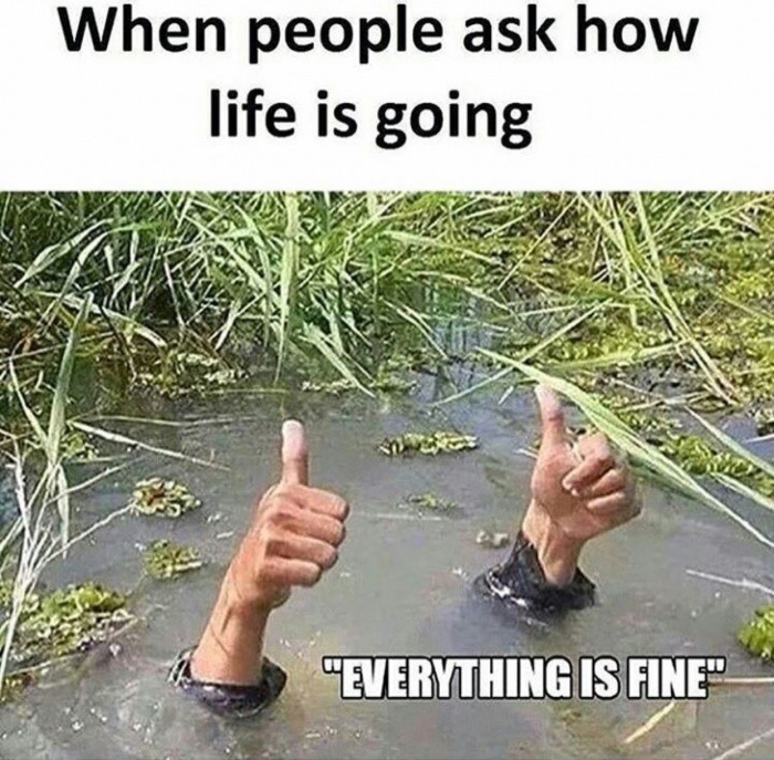 your day going meme - When people ask how life is going "Everything Is Fine