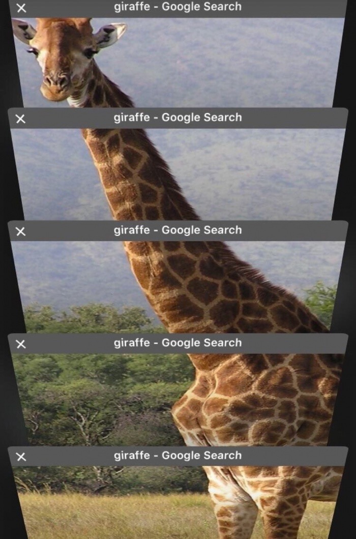 funny giraffe memes - giraffe Google Search giraffe Google Search giraffe Google Search giraffe Google Search x giraffe Google Search