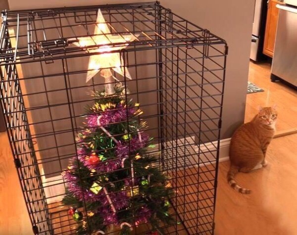 cat safe christmas trees
