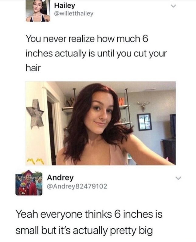 6 inches hair meme - Hailey You never realize how much 6 inches actually is until you cut your hair Andrey Yeah everyone thinks 6 inches is small but it's actually pretty big