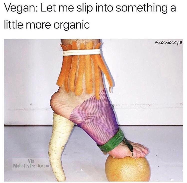 memes - Photo caption - Vegan Let me slip into something a little more organic Via Mohstly Fresh.com