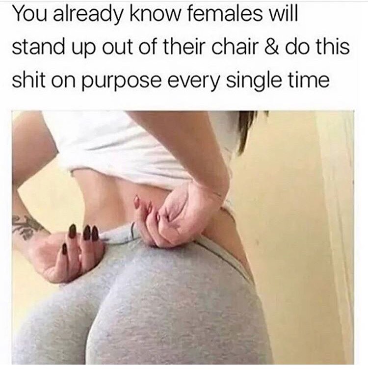 memes - females do it on purpose - You already know females will stand up out of their chair & do this shit on purpose every single time