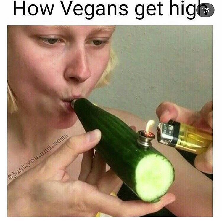 memes - shaggy this isnt weed memes - How Vegans get high you.and.meme