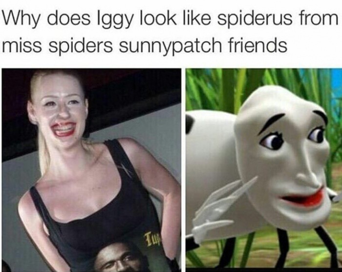 memes  - spiderus meme - Why does Iggy look spiderus from miss spiders sunnypatch friends