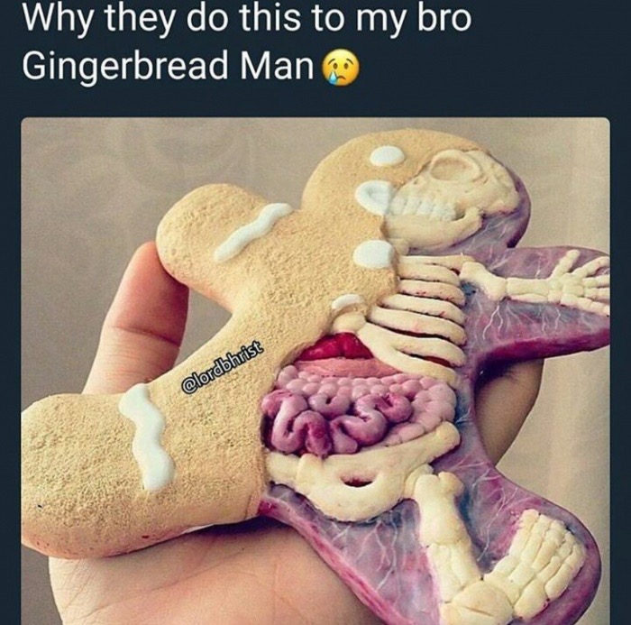 memes  - anatomical gingerbread man - Why they do this to my bro Gingerbread Man