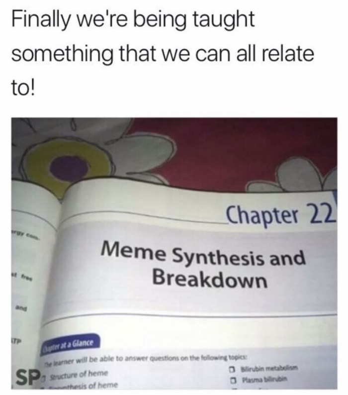 memes  - Finally we're being taught something that we can all relate to! Chapter 22 Meme Synthesis and Breakdown Austrat a Glance S P mer will be able to answer questions on the ing topics Sirubin metabolism Structure of heme Pasma bilirubin thesis of hem