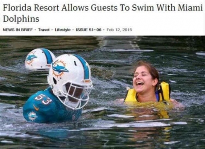 memes - swimming with the miami dolphins - Florida Resort Allows Guests To Swim With Miami Dolphins News In Brief. Travel Lifestyle. Issue 51. 06.