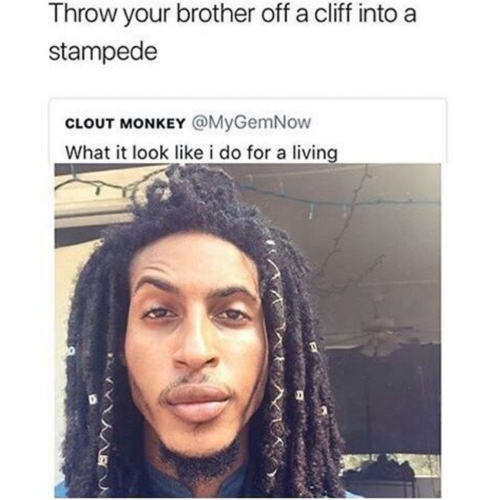 Dank meme of someone asking what he looks like he does for a living and caption is throw your brother off a cliff into a stampede, implying he looks like Scar from The Lion king