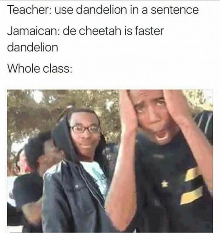 Dank meme about when you use the word dandelion in a sentence