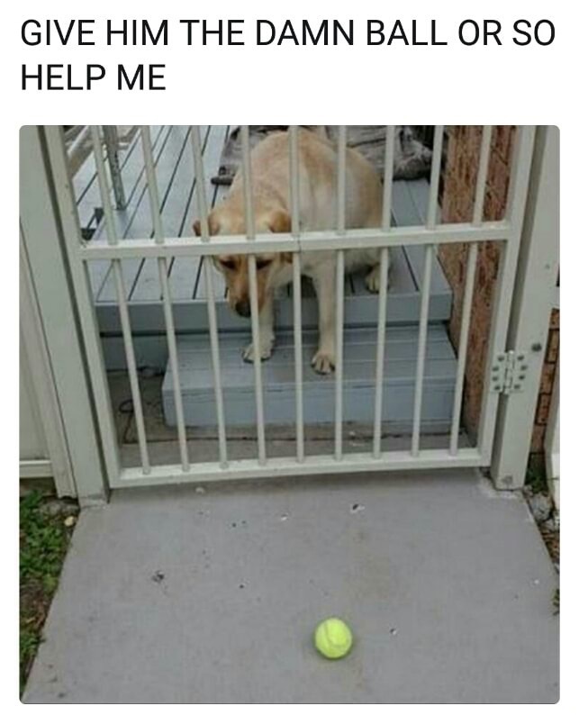 dank meme break up - Give Him The Damn Ball Or So Help Me
