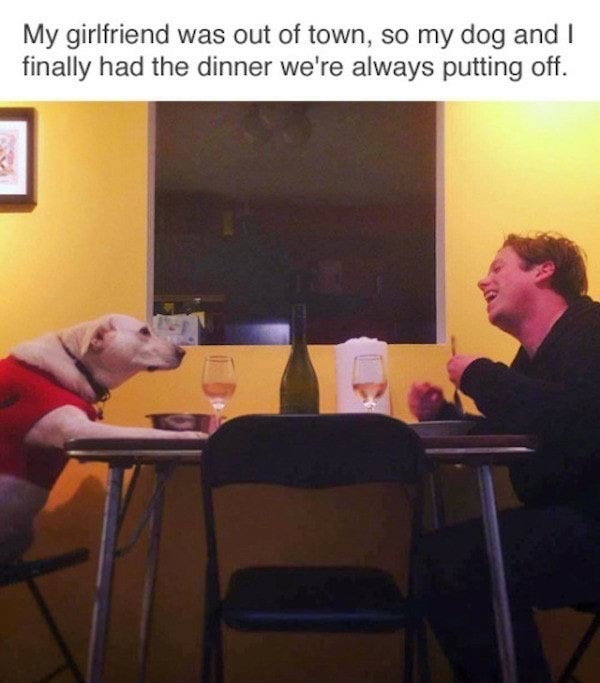 dank meme funny out of town meme - My girlfriend was out of town, so my dog and I finally had the dinner we're always putting off.