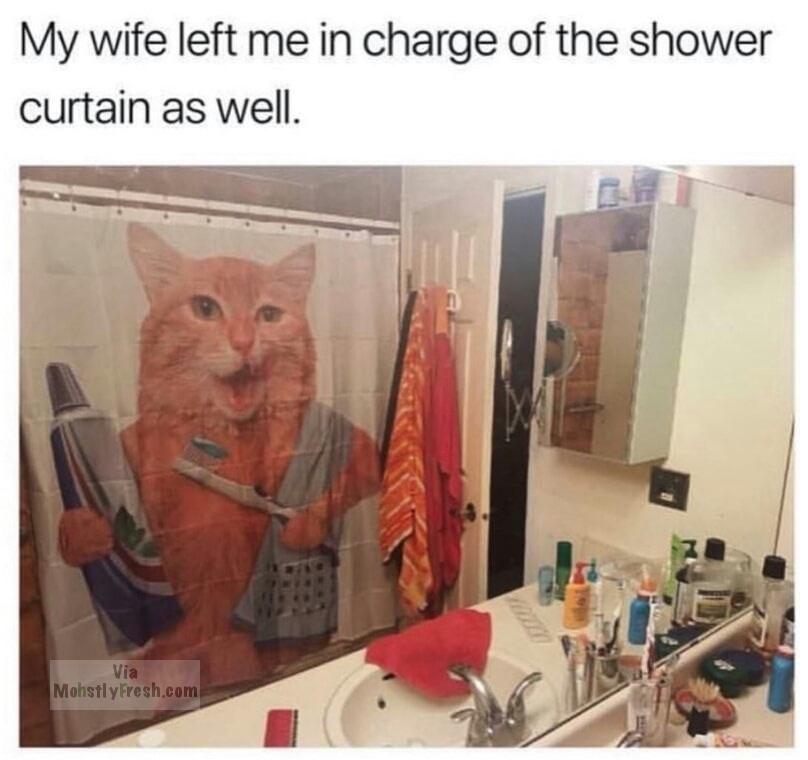 dank meme my wife left me in charge - My wife left me in charge of the shower curtain as well. Vio Mohstly Fresh.com