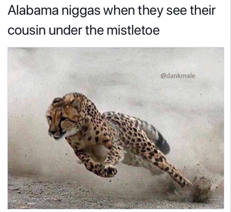you re kissing and she says go lock the door - Alabama niggas when they see their cousin under the mistletoe
