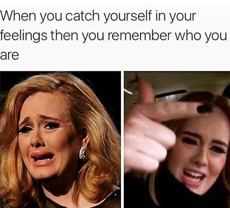adele meme - When you catch yourself in your feelings then you remember who you are