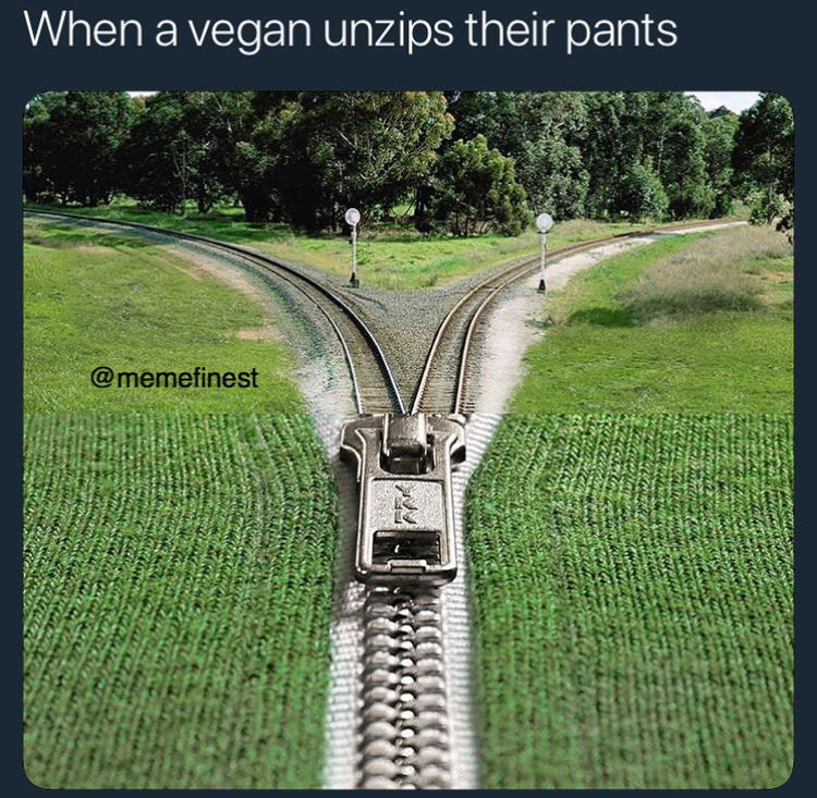 zipper train tracks - When a vegan unzips their pants
