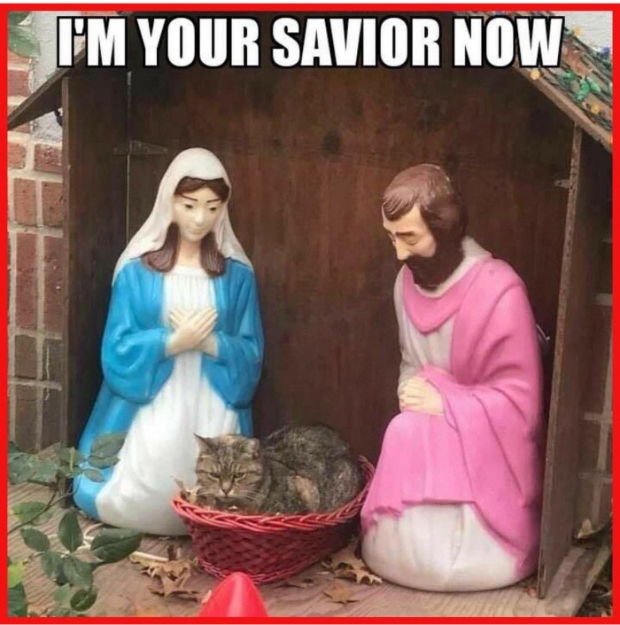 dank meme grumpy cat nativity scene - I'M Your Savior Now