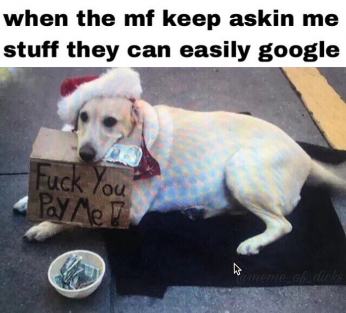 dank meme fuck you pay me dog san francisco - when the mf keep askin me stuff they can easily google Fuck You Ty