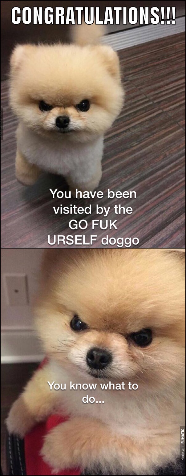 dank meme Congratulations!!! You have been visited by the Go Fuk Urself doggo You know what to do... Made with Fumatic