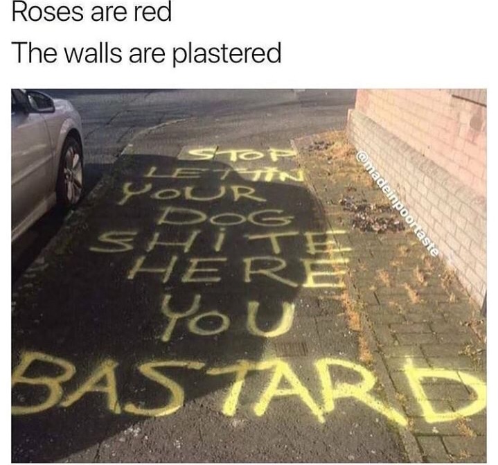 dank meme roses are red the walls are plastered - Roses are red The walls are plastered Dog Shere You Bastar