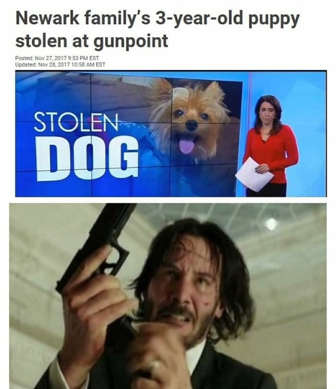 dank meme john wick memes - Newark family's 3yearold puppy stolen at gunpoint Posted Est Updated Est Stolen Dog Dog
