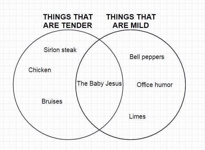 dank meme things that are tender and mild - Things That Are Tender Things That Are Mild Sirlon steak Bell peppers Chicken The Baby Jesus Office humor Bruises Limes
