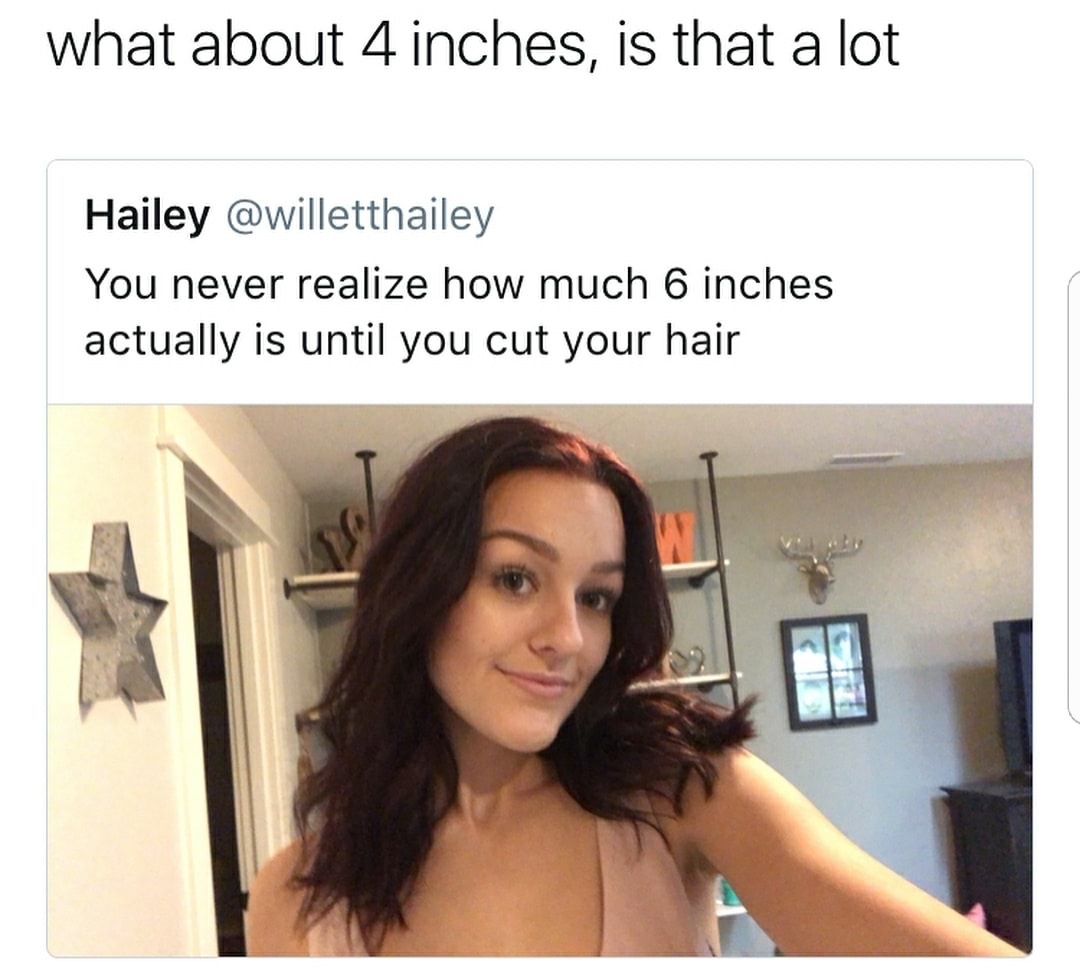 6 inches meme - what about 4 inches, is that a lot Hailey You never realize how much 6 inches actually is until you cut your hair