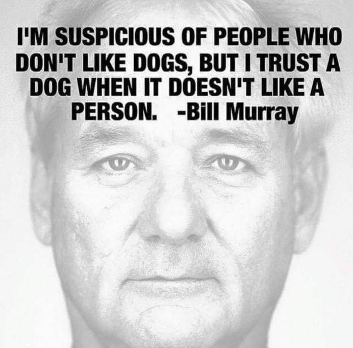 don t trust people who don t like dogs - I'M Suspicious Of People Who Don'T Dogs, But I Trust A Dog When It Doesn'T A Person. Bill Murray