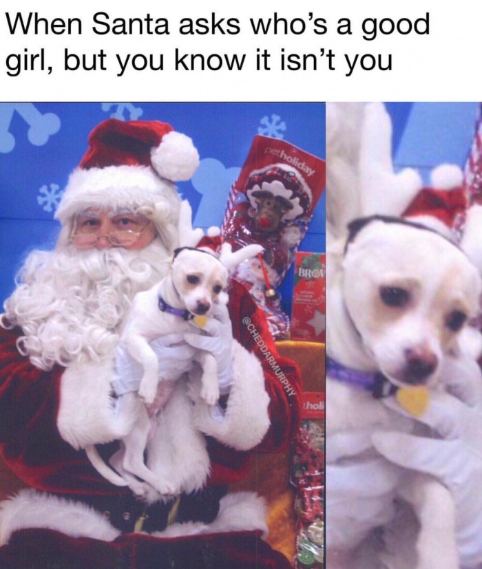 photo caption - When Santa asks who's a good girl, but you know it isn't you betholiday