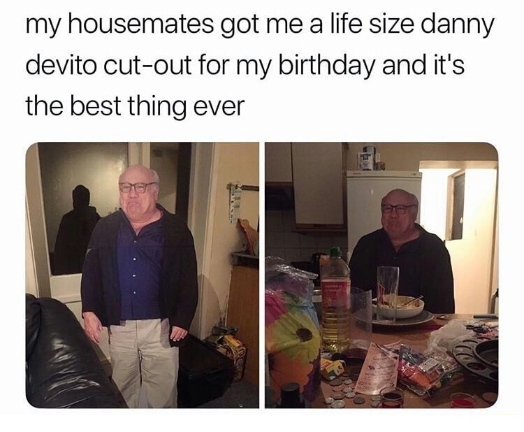 danny devito meme - my housemates got me a life size danny devito cutout for my birthday and it's the best thing ever