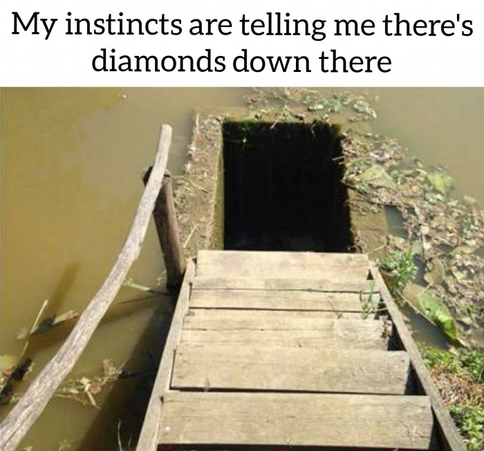 My instincts are telling me there's diamonds down there